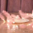 thumbnail image 3 of 300 luces LED de cadena de hadas con plumas de rosas con 8 modos de luz, control remoto, decoración romántica de cortina de pared para bodas, fiestas de cumpleaños, dormitorios interiores Rojo Verde, 3 of 5