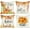 Orange, variant on Fall 16x16 Throw Pillow Covers Set of 4, Pumpkin Sunflower Decorative HolidayPillow Case 16 x 16 Autumn Cushion Covers Thanksgiving Pillowcase for Indoor Home Bedroom Couch Sofa Decor