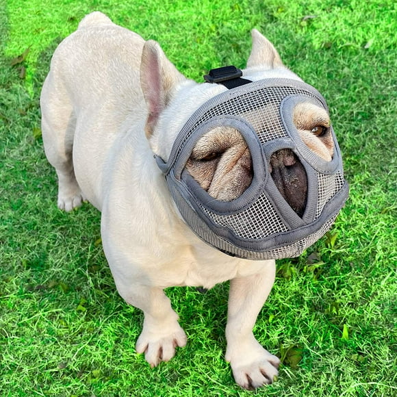 Short Snout Dog Muzzle - Adjustable Breathable Mesh Bulldog Muzzle for Barking Biting Chewing Training