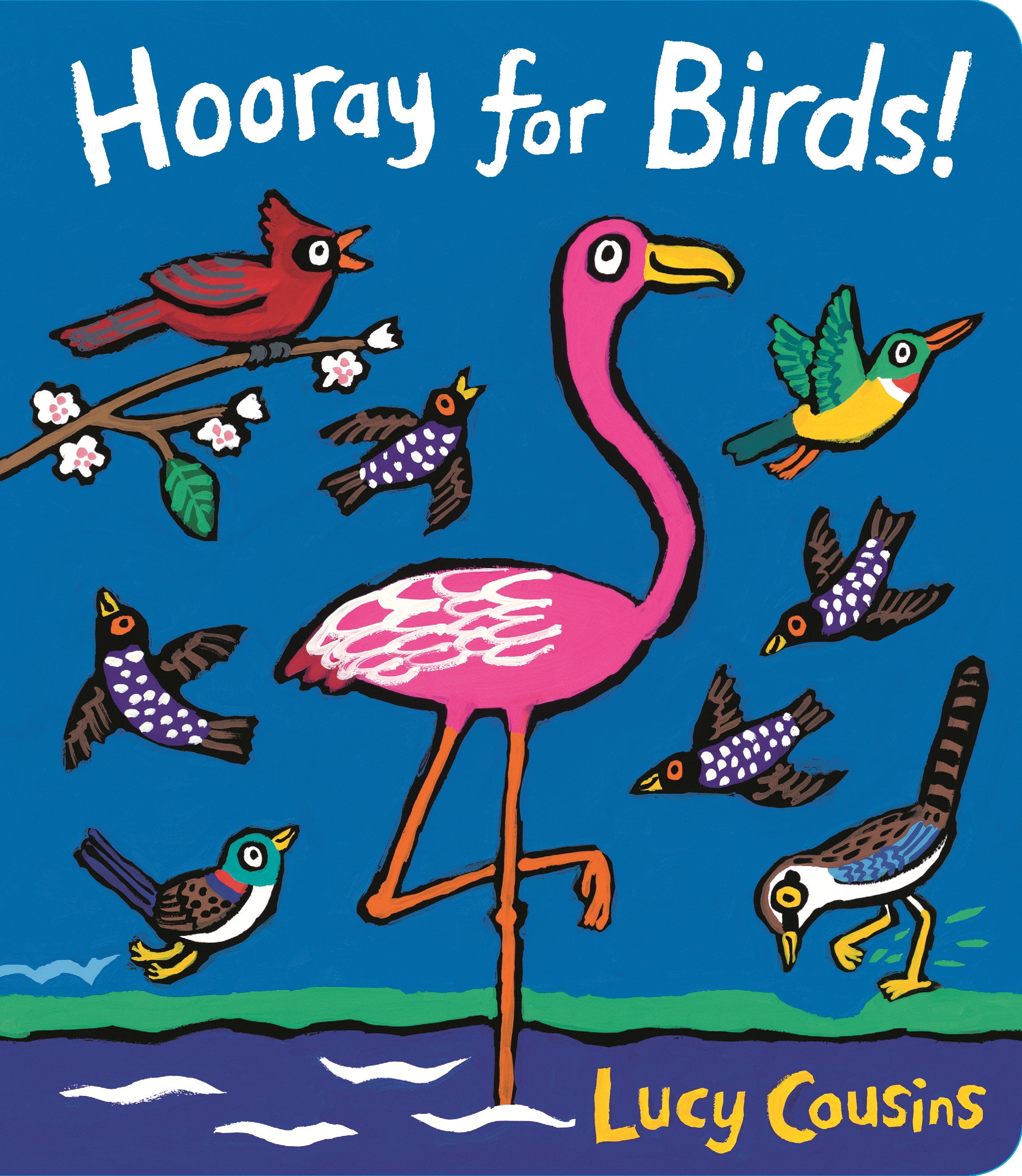 Hooray for Birds! (Board Book)