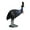 1 Pcs, variant on Ksopiavobs Realistic Animal Figures Cassowary Bird Figurines, Science Project, Cake Topper, Early Educational Toys Birthday for Toddlers Kids Age 3 4 5