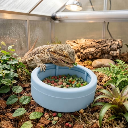 BVCL Reptile Feeding Food Gecko And Hamster Easy Clean Food Water Bowl