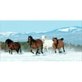 thumbnail image 1 of Horses Running In Snow Photo License Plate  Free Personalization on this Plate, 1 of 1