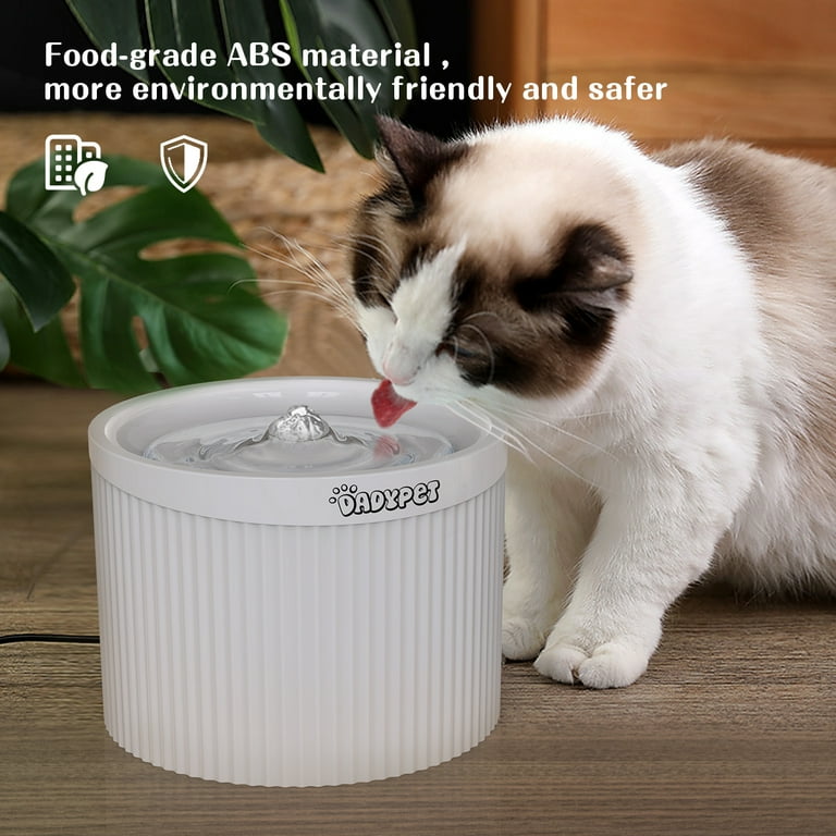 Dadypet sales water fountain