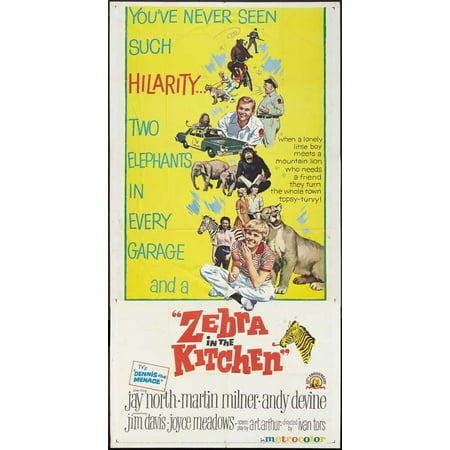 Zebra In The Kitchen Movie Poster Style A 20 X 40 1965
