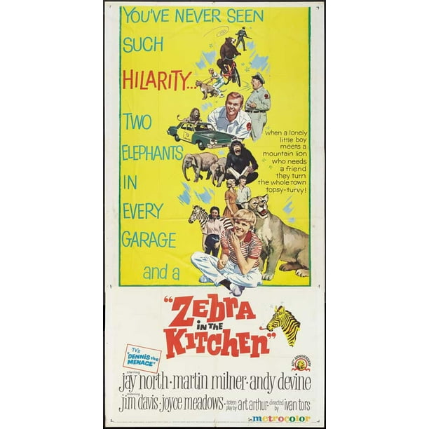 Zebra In The Kitchen Movie Poster Style A 20 X 40 1965 Walmart Com Walmart Com
