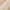 Apricot, variant on HGYCPP Fashion Womens Long Sleeve Velvet Blouses Solid Color Shirt Solid Color Camisole