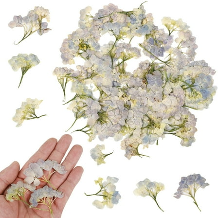 100pcs Real Dried Hydrangea Flowers, Natural Blue Dried Pressed Flowers for Resin Crafts and Decorations, Resin Crafts Embellishments Flowers