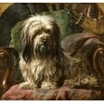 thumbnail image 2 of Steel, Gourlay 12x12 Black Ornate Wood Framed with Double Matting Museum Art Print Titled - A Dandy Dinmont, 2 of 4