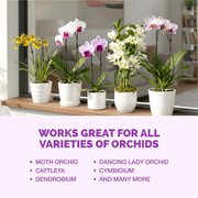 Orchid Fertilizer– Liquid Orchid Plant Food for All Varieties, Supports Healthy Growth & Blooms, 8 oz