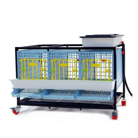 Hatching Time Chicken Cage - 1 Layer H: 15" (Power-Washable, Durable, ABS Plastic) | Cimuka