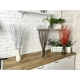 thumbnail image 4 of 25 psc - Branches - 73 cm, Natural Birch Twigs, Pack of 20-25 Stems, Long for Floor vases, (Orange-Red ), 4 of 13