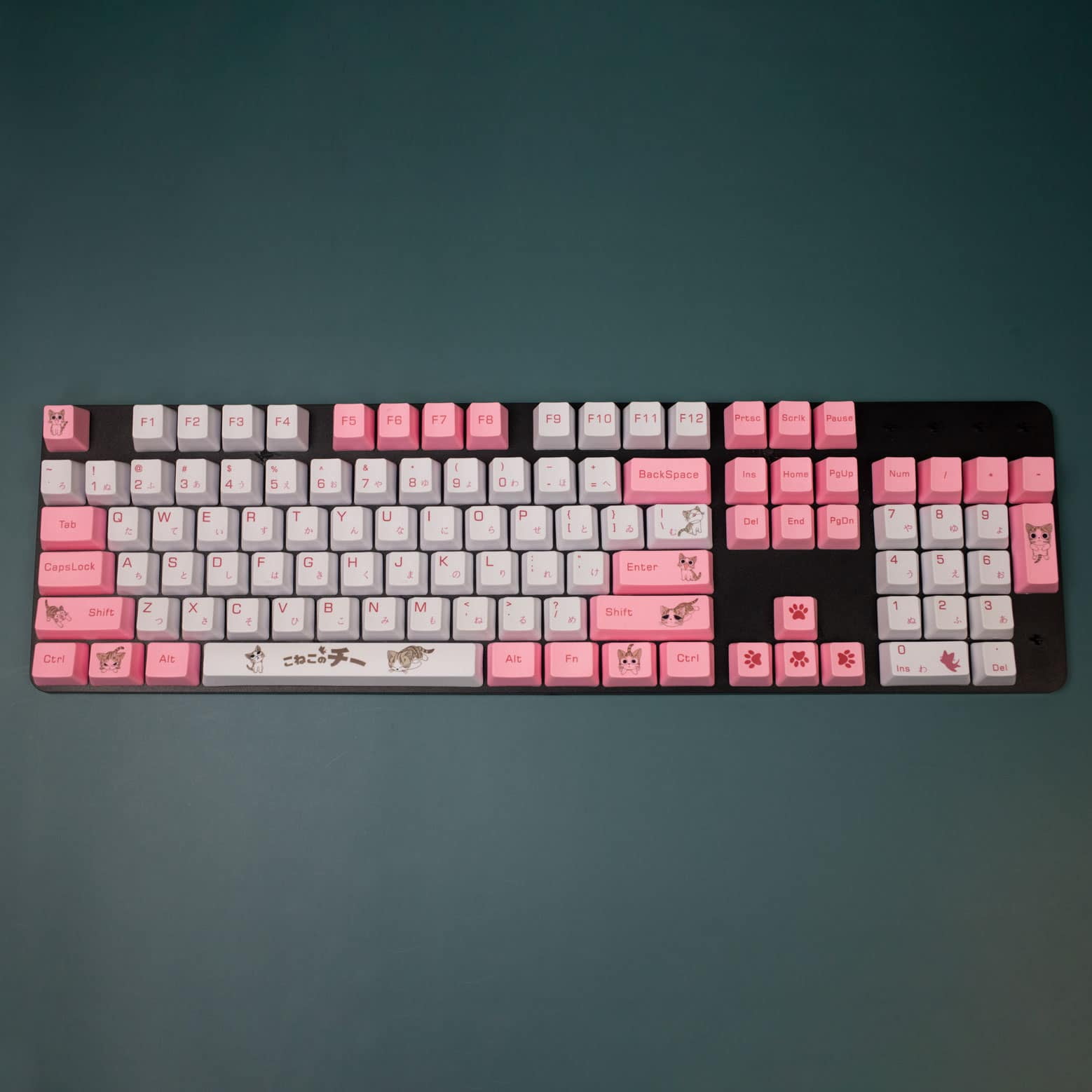 Crazy Kitty OEM PBT Keycaps (131 key set)
