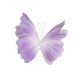 thumbnail image 5 of Decoración de mariposas de hilo artificial, accesorios de fotografía, decoraciones de boda para Violeta, 5 of 9
