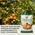 thumbnail image 3 of ⭐ 𝐁𝐄𝐒𝐓𝐒𝐄𝐋𝐋𝐄𝐑 Citrus Fertilizer + Vital Micronutrients - Perfect Balanced NPK for All Citrus - for Indoor and Outdoor Plants - Orange, Lime, Avocado and Lemon Tree Fertilizer [16 OZ], 3 of 5