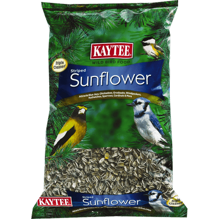 Kaytee 100033650 Striped Sunflower Wild Bird Seed, 5 lb
