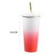 thumbnail image 1 of Taza de agua para coche de 750 ml, frascos de vacío de paja con gradiente a prueba de fugas, taza de café (rojo) Hugtrwg Para Estrenar, 1 of 8