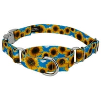 Country Brook Petz® Sunflowers Martingale Dog Collar with Premium Buckle, Small