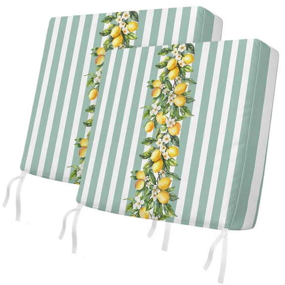 Outdoor Patio Cushion Covers 2 Pack Lemon Teal Green Stripes Chair Pads Slipcovers with Ties & Zipper Waterproof Seat Cover Floral Fruit Leaves Seat Cushion Covers for Outdoor Couch Sofa 22x20 Inch
