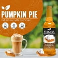 thumbnail image 4 of Syruvia Pumpkin Pie Pure Cane Syrup, 25.4 fl Oz With Pump, 4 of 6