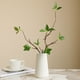 thumbnail image 5 of Simulación de Ramas de Espuma, Brotes Tiernos, Arreglo Floral, Decoración de Mesa de Comedor para El Hogar, Materiales para Arreglos Florales, Simulación de Ramas., 5 of 6