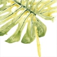 thumbnail image 2 of Vess, June Erica 20x20 White Modern Wood Framed Museum Art Print Titled - Verdant Impressions I, 2 of 4