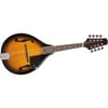 Rogue RM-100A A-Model Mandolin