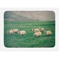 thumbnail image 1 of Farm Animal Bath Mat, Husbandry Themed Photo with Sheep Grazing on Grass in Iceland Nature, Plush Bathroom Decor Mat with Non Slip Backing, 29.5" X 17.5", Ecru and Fern Green, by Ambesonne, 1 of 2