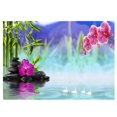 thumbnail image 1 of 1 Juego de Kit de Punto de Cruz DIY Lago / Caracoles Imagen Diamante Pintura Bordado para Manualidades Artes Baoblaze Pintura escénica del diamante, 1 of 8
