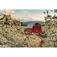 thumbnail image 3 of Daultich, Nick 18x13 Black Modern Framed Museum Art Print Titled - Fairytale Barn, 3 of 5