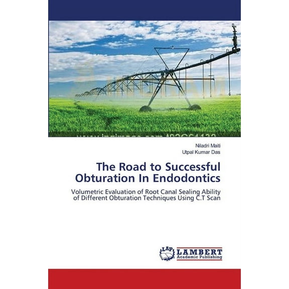 The Road to Successful Obturation In Endodontics (Paperback)