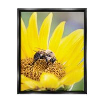 Stupell Industries Bee & Sunflower Photography Animals & Insects Photography Black Floater Framed Art Print Wall Art, 17 x 21