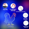 thumbnail image 3 of Lavish Cover Vertical Rooster Neon Sign Red Blue Led Signs for Desktop Decor Animal Lights Room Decor，14*12.8 Inches neon light with USB Powered Dimmable Animal Neon Light Signs, 3 of 7