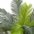 thumbnail image 5 of Nearly Natural Indoor/Outdoor 36" Cycas Tree UV Resistant in Green/Black, 5 of 5