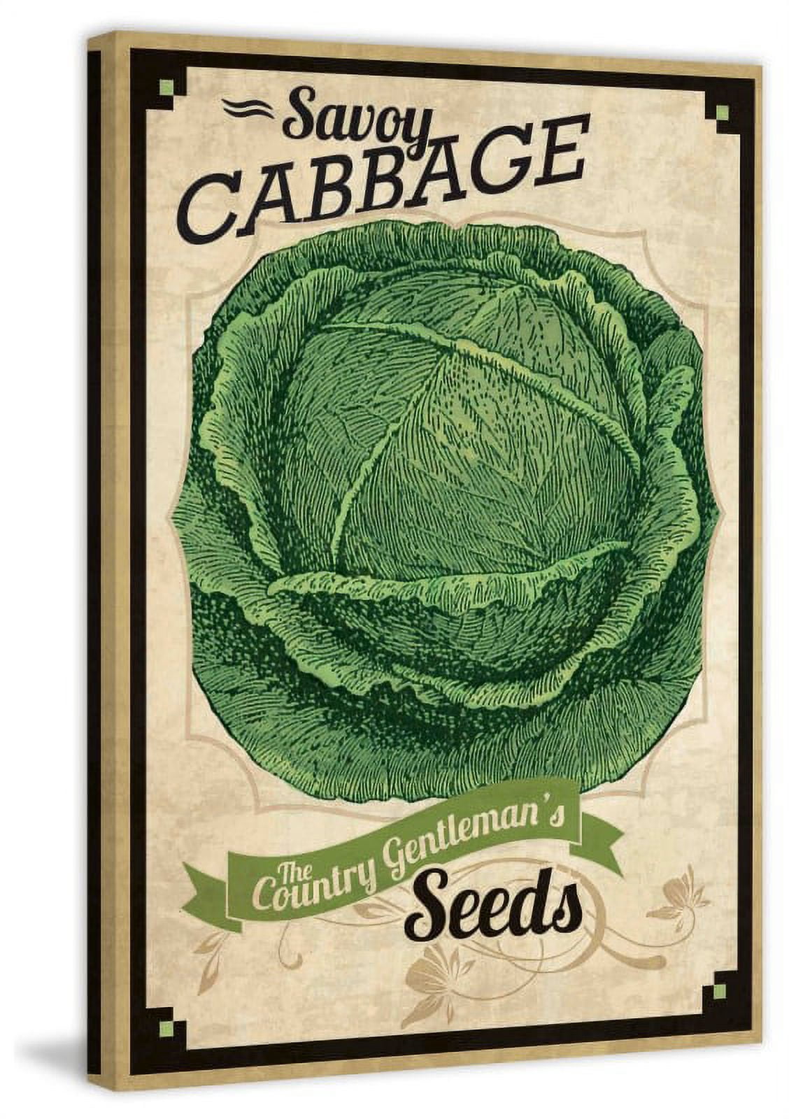 Seed Packet Cabbage' Painting Print on Wrapped Canvas