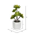 thumbnail image 3 of Vickerman FH191213 Succulente en Pot Verte de 13 Po, 3 of 3