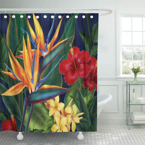 Cynlon Bird Tropical Paradise Hawaiian Large Hawaii Hibiscus Plumeria Flowers Bathroom Decor Bath Shower Curtain 66x72 Inch Com Cynlon Bird Tropical Paradise Hawaiian, Tropical Paradise Shower Curtain