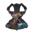 thumbnail image 4 of Lsque Ice Blue Coastal Lion Dog Harness, No-Pull Pet Harness with 2 Leash Clips, Adjustable Soft Padded Dog Vest with Easy Control Handle for Large Dogs-, 4 of 9