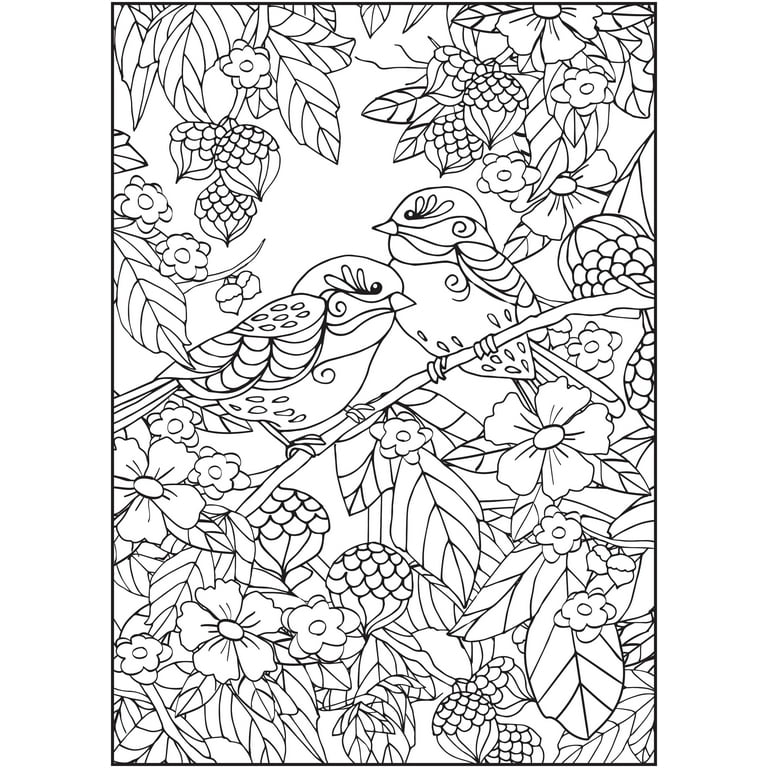 Cra-Z-Art Timeless Creations, Feathered Friends New Adult Coloring