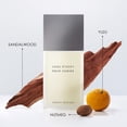thumbnail image 3 of Perfume Issey Miyake L'Eau d'Issey pour Homme Eau de Toilette 125 ml + 40 ml, 3 of 6