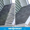 thumbnail image 6 of Wet & Forget Outdoor Xtreme Reach Moss, Mold, Mildew, and Algae Stain Remover Hose End, 48 oz, 6 of 11