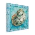 thumbnail image 2 of Trademark Fine Art 'Shell Scallop 4' Canvas Art by Marietta Cohen Art And Design, 2 of 3