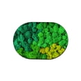 thumbnail image 2 of Carpet Green Bath Rug Super Absorbent Rubber Backing Non Slip Washable Bathroom Floor Mat(1-Piece) Rkxzt, 2 of 9