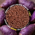 thumbnail image 4 of SUNGIVEN Organic Ramen Noodles Purple Sweet Potato Healthy Low Sodium Ready in 3 Minutes Non-Fried Instant No Additives or Preservatives 2.47 OZ (Pack of 10), 4 of 6