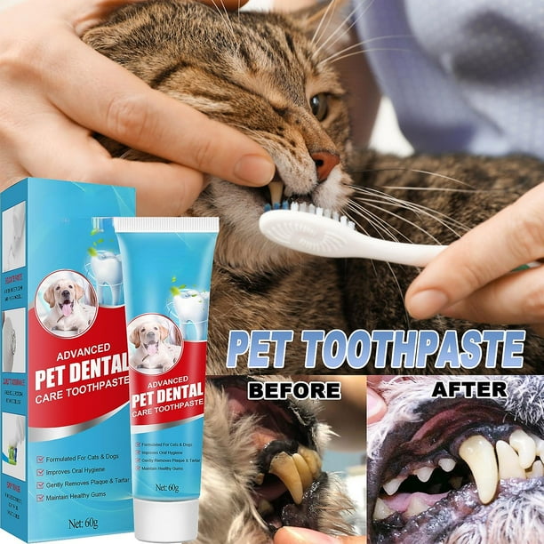 Fresh Breath Human Toothpaste Safe For Dogs Dog Toothpaste Mint, Pet  Toothpaste Dog Cat Fresh Breath Deodorant Pet Teeth Care Toothpaste  Eliminates