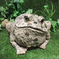 thumbnail image 4 of Toad Hollow HomeStyles Extra Large Toad Natural Brown, 4 of 5