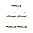 thumbnail image 1 of Naiovety Cebo de pesca Wobblers cebo señuelo manivela cebo pesca multiseccional hundimiento Swimbait con garra Barb gancho herramientas de Type5 NO5, 1 of 6