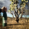 thumbnail image 2 of Mezcal Cenizo Bozal - 750 ml Bozal Single Maguey, 2 of 6