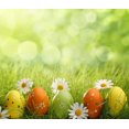 thumbnail image 1 of YUSDECOR 7x5ft Easter Day Eggs Bokeh Photo Fond d'Écran, 1 of 2