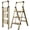Champagne Gold Finish, variant on Calmwrd Step Ladder Folding 3-Step White Finish Aluminum Foldable Step Ladders,Anti-Slip for Home & Kitchen Office 330 lbs